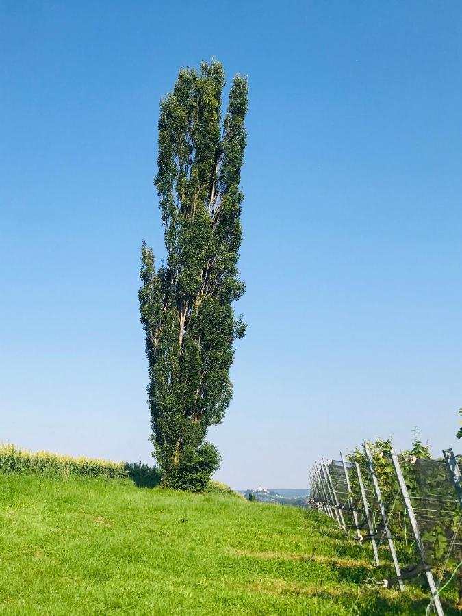 Landvilla Sinelia Premium Dietersdorf am Gnasbach Kültér fotó