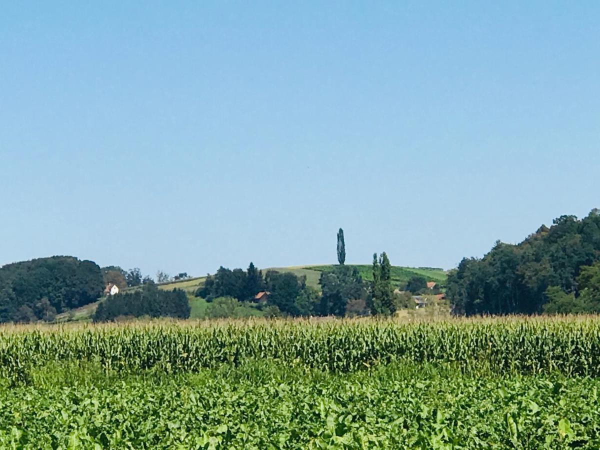 Landvilla Sinelia Premium Dietersdorf am Gnasbach Kültér fotó
